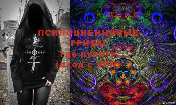 шишки Алексеевка