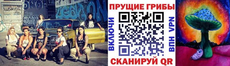 кракен как зайти  даркнет сайт  Бодайбо  Псилоцибиновые грибы Magic Shrooms 